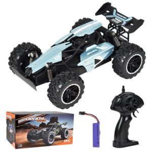 RC Car 4WD 1:18 High Speed 25km/h Off Road Car