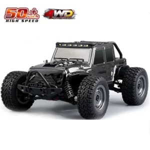 RC Buggy Off-Road Car 4WD 2.4G 1:16 50Km/h